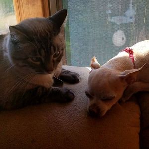 Meet your Posher, Milo